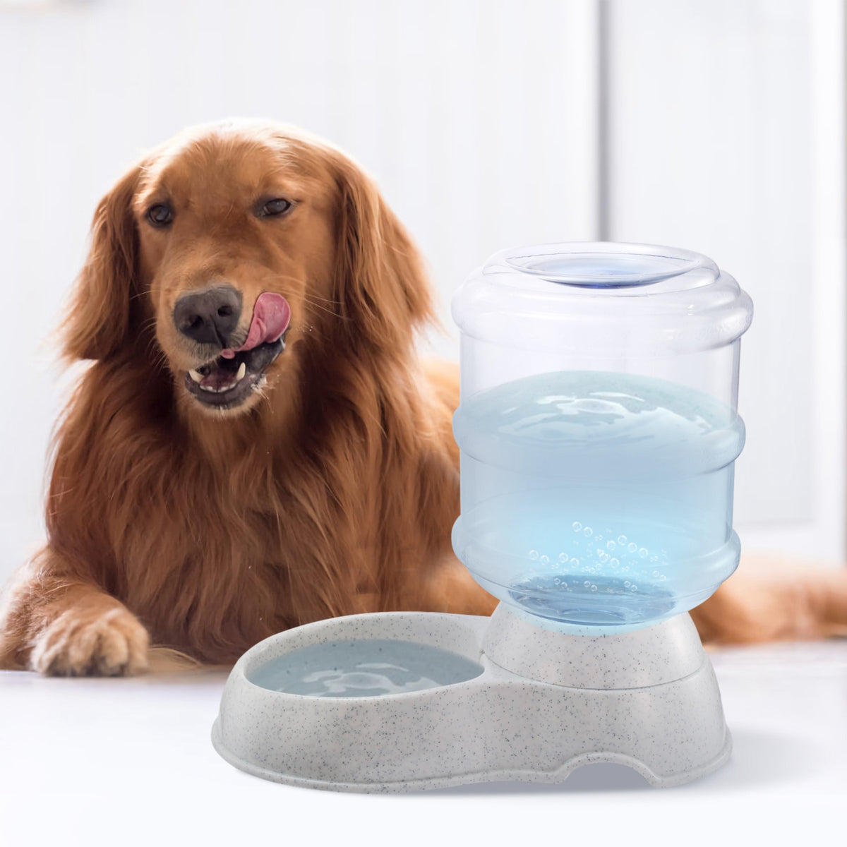 Gravity Pet Water Dispenser