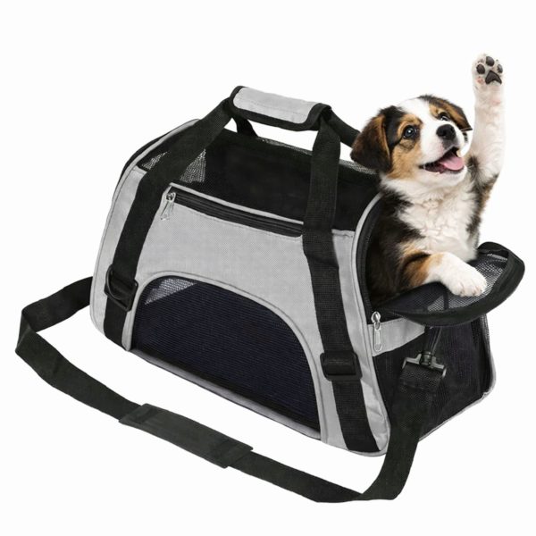 Foldable Mesh Pet Carrier Bag — 2-Pack