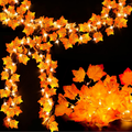 Lighted Fall Garland 2-Pack — Maple Leaf String Lights, 16.4ft Total, 40 LED