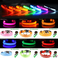 LED Light-Up Dog Collar — Blue, Size L