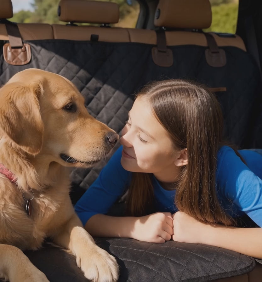 Dog Car Seat Cover — Waterproof Hammock with Hard Base demo video